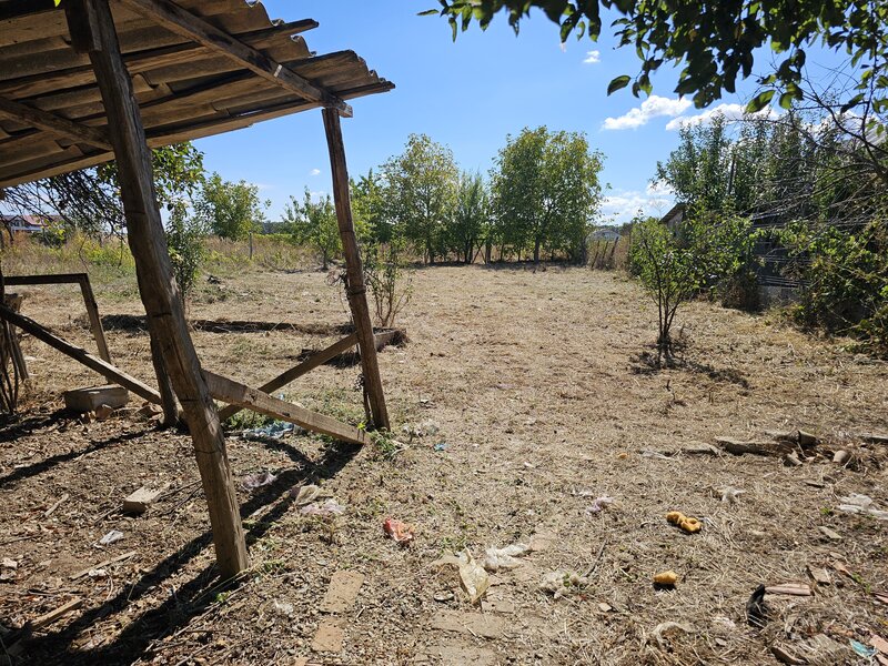 Snagov, Ciofliceni